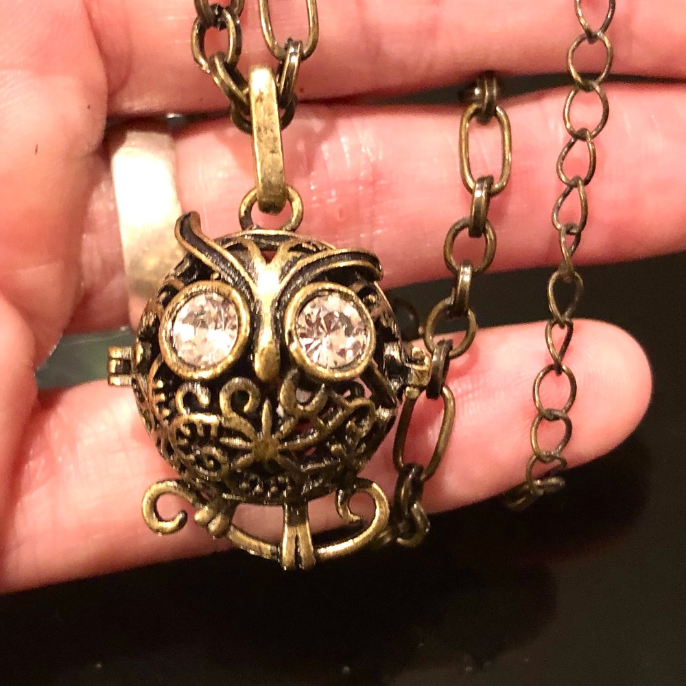 VtgY2K Bronze Filigree Ornate Artsy Owl Hinged Globe Pill Pendant Chain Necklace